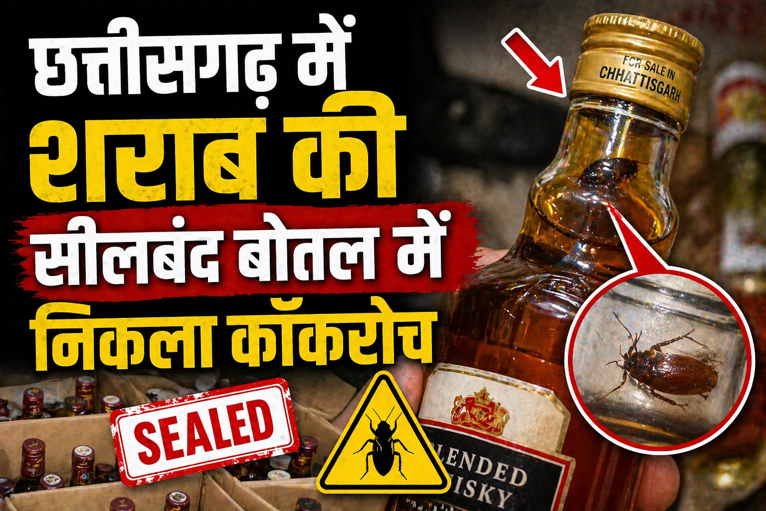Cockroach In Liquor Bottle: छत्तीसगढ़ में शराब की सीलबंद बोतल में निकला ...