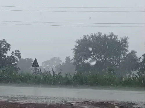 CG Rain Alert: छत्तीसगढ़ में कल से बारिश, 19 से 23 सितंबर तक कई जिलों में बरसेंगे बदरा