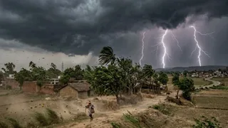 Dantewada Lightning Strike: आकाशीय बिजली गिरने से 28 मवेशियों की मौत, गांव में दहशत