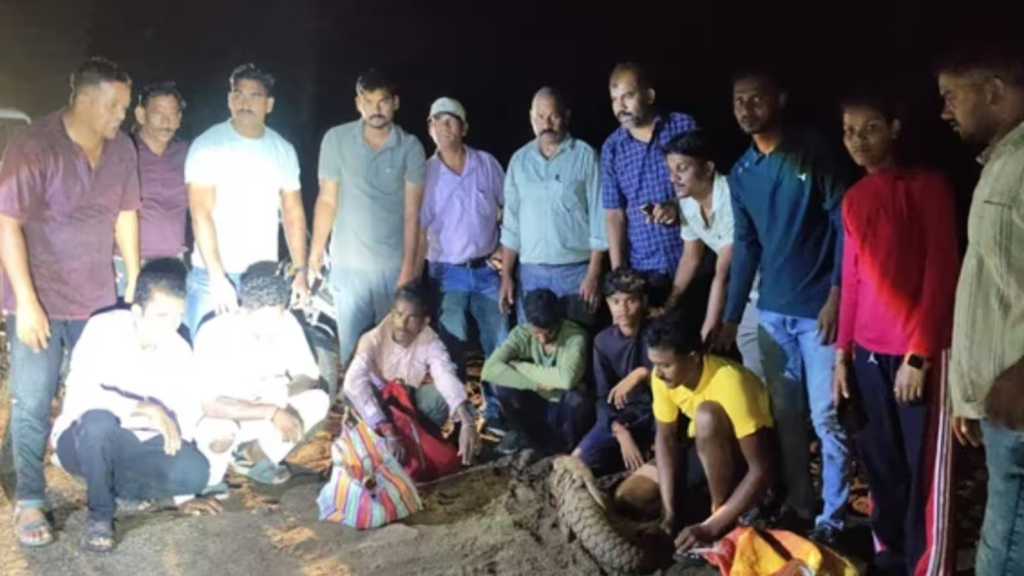 Operation Safe Passage 3.0: वन्यजीव तस्करी पर बड़ा एक्शन, 43 बाघ की संदिग्ध हड्डियां बरामद; 6 हिरासत में