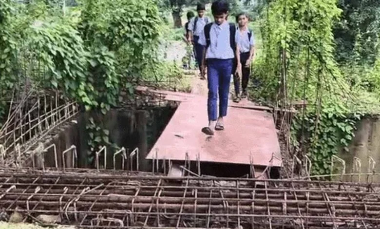 Gariyaband News: 20 फीट उफनती नदी पार कर स्कूल जाते बच्चे, 6 साल से अधूरा पुल
