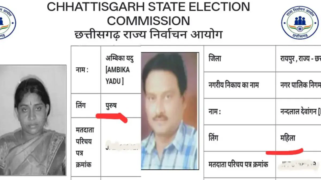 birgaon voter list : वोटरलिस्ट में ऐसी गलती, पूर्व महिला महापौर को बना दिया पुरुष, नंदलाल देवांगन का जेंडर लिखा महिला